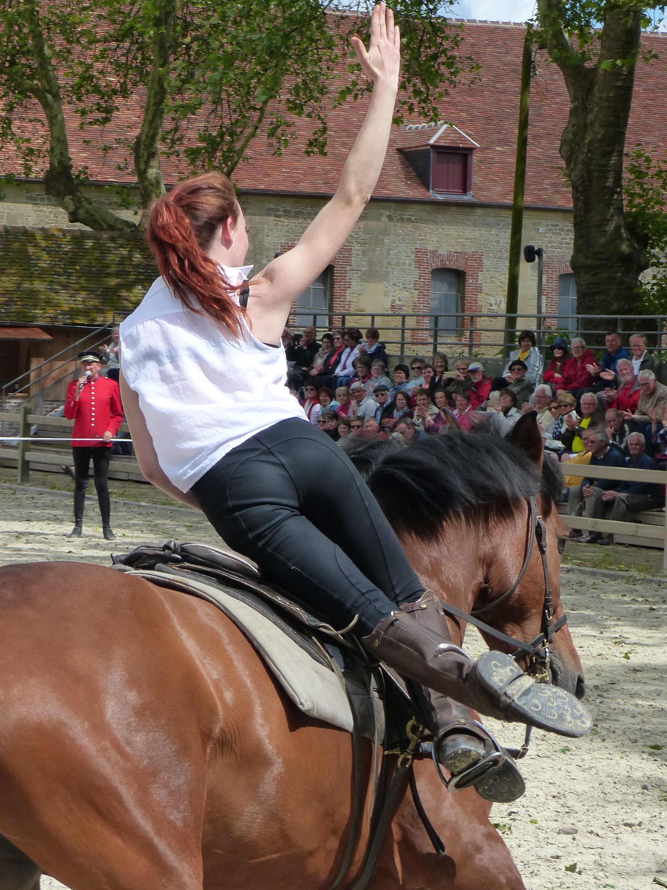 Violette voltige cosaque pure race espagnole galop