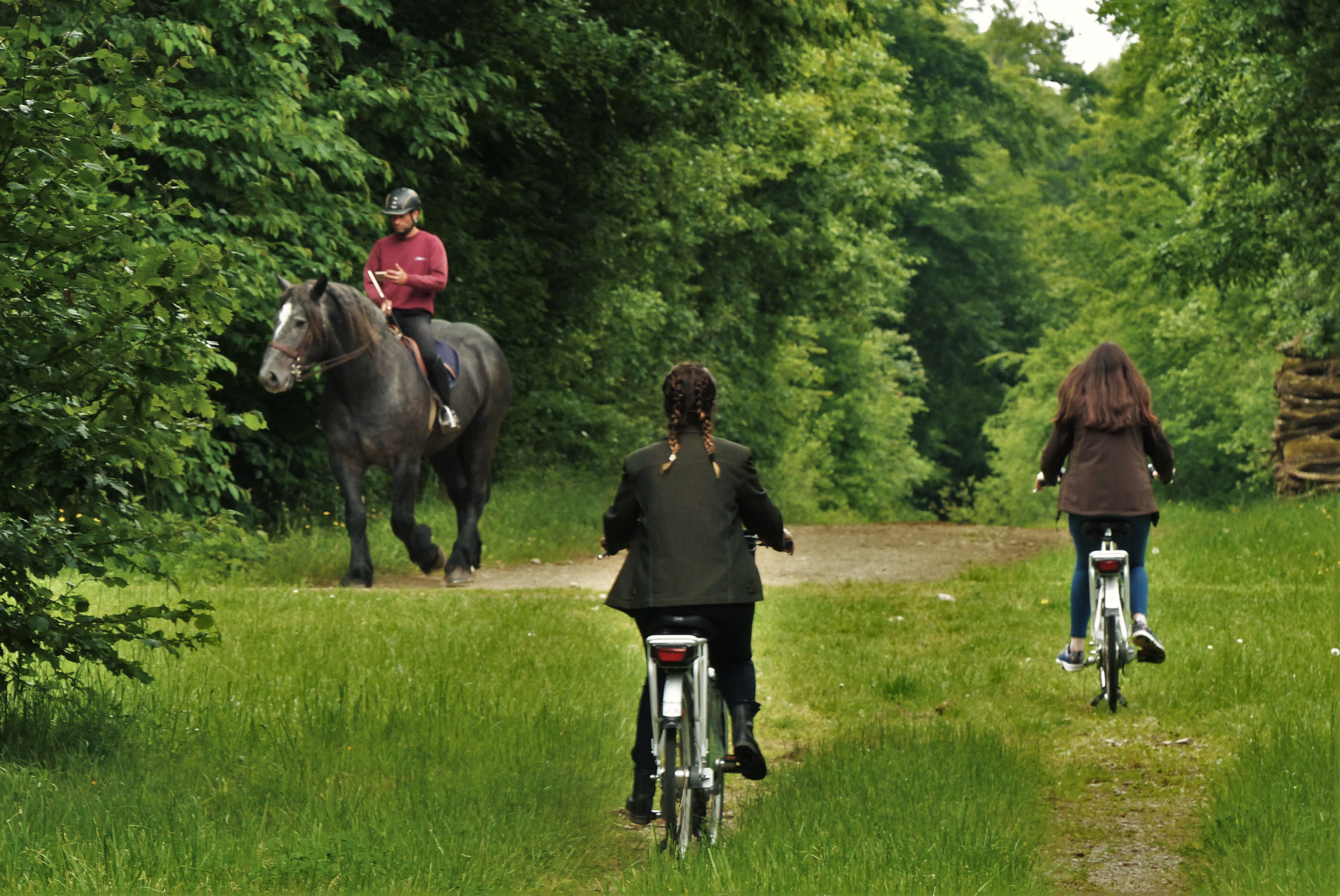vélos électrique Haras du Pin