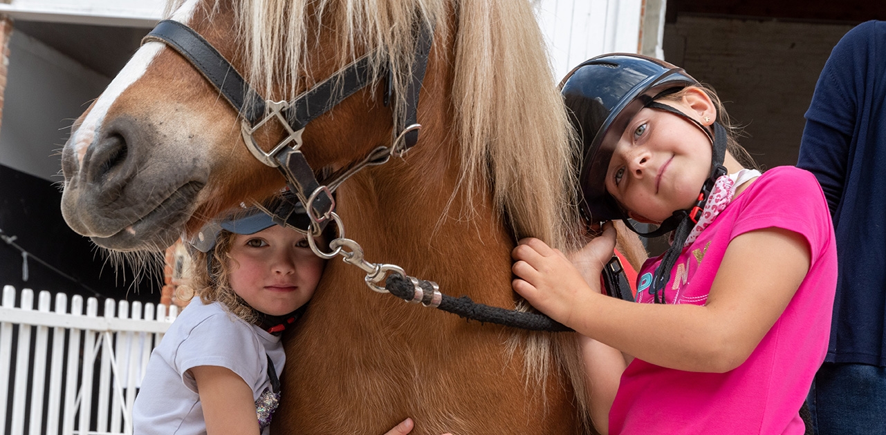Baptêmes poneys