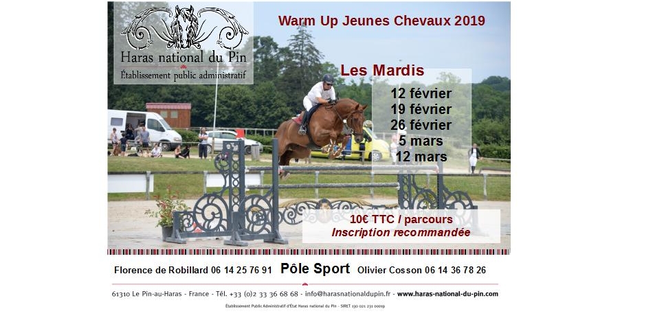 WARM UP Jeunes Chevaux de 4 à 6 ans