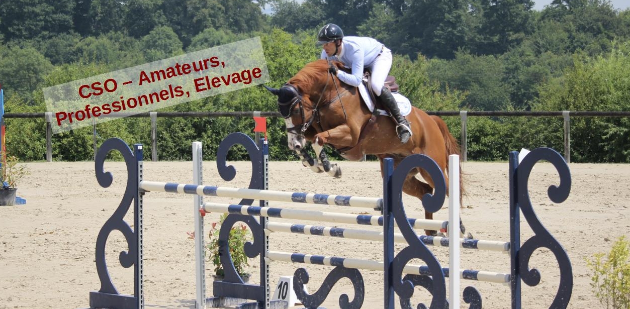 Concours de Saut d'Obstacles I