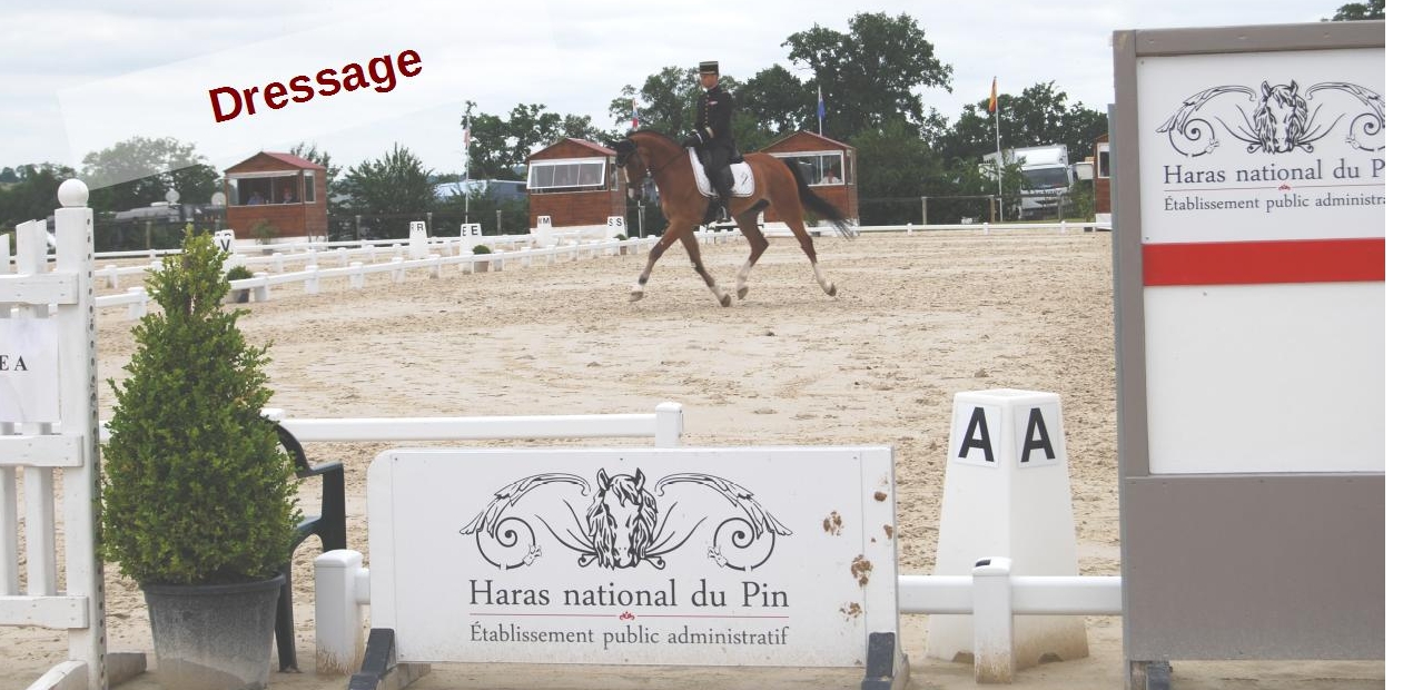 Concours de Dressage