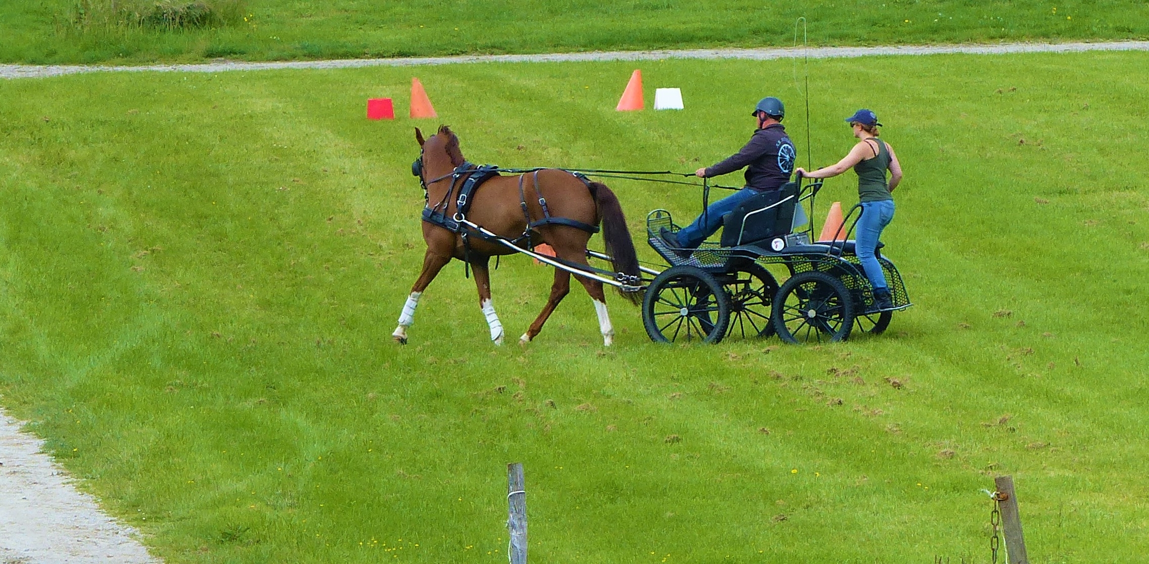 Concours International d'Attelage ***