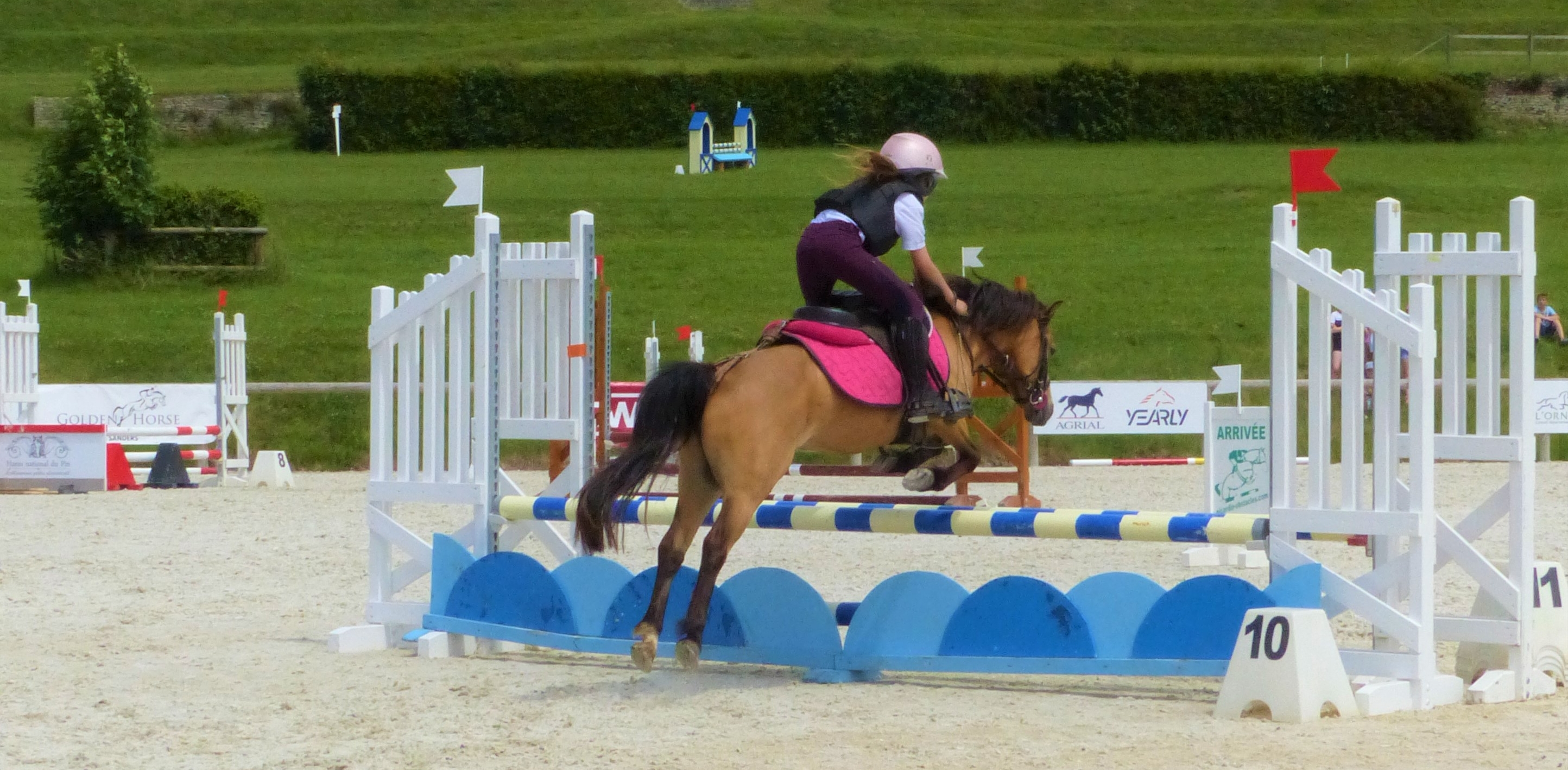 Concours de Saut d'Obstacles -  Poneys SHF