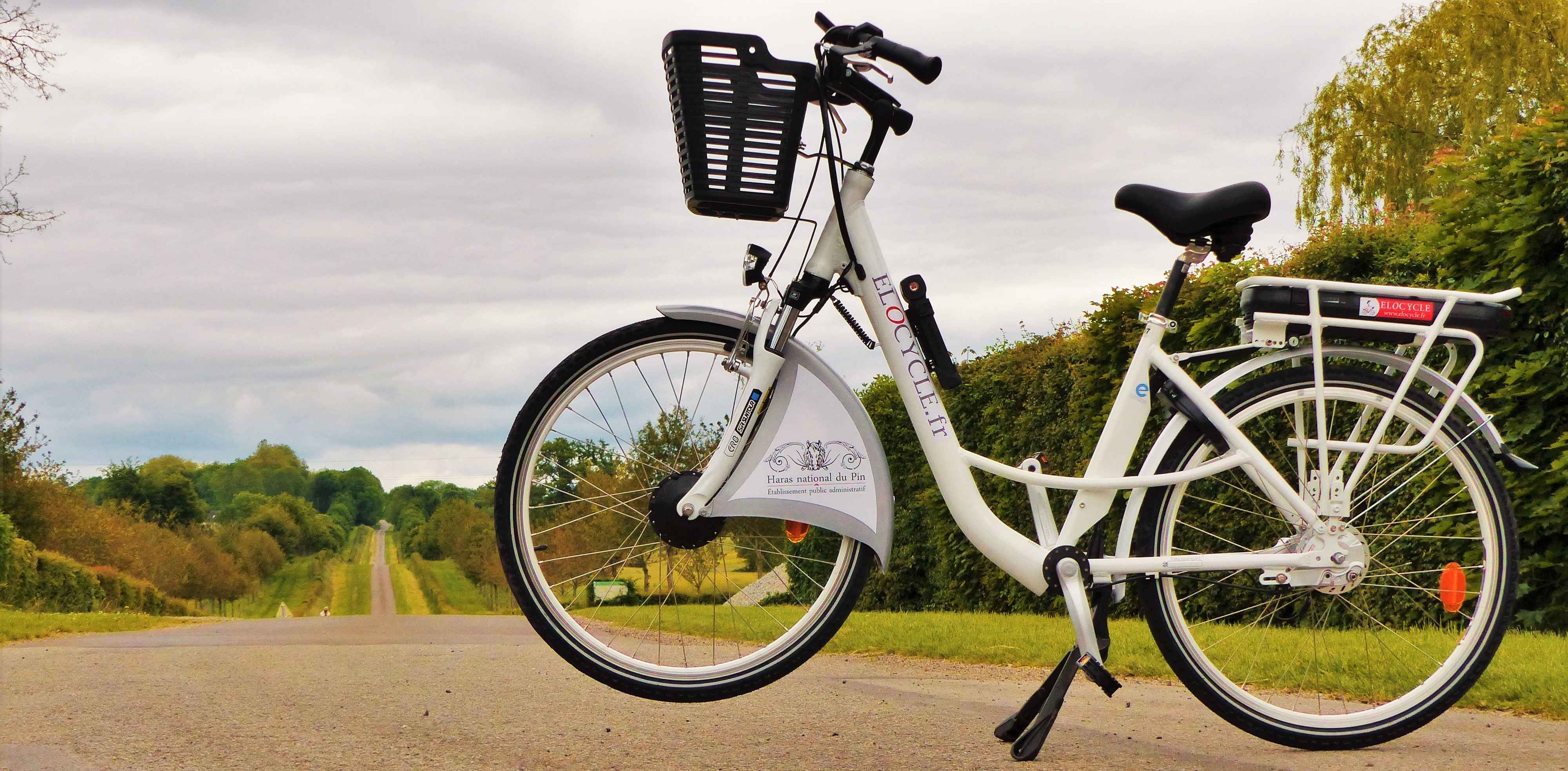 Electric bikes