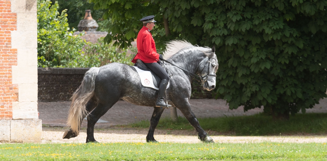 Visite du Haras du Pin