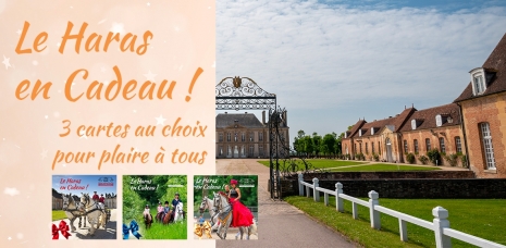 LE HARAS EN CADEAU