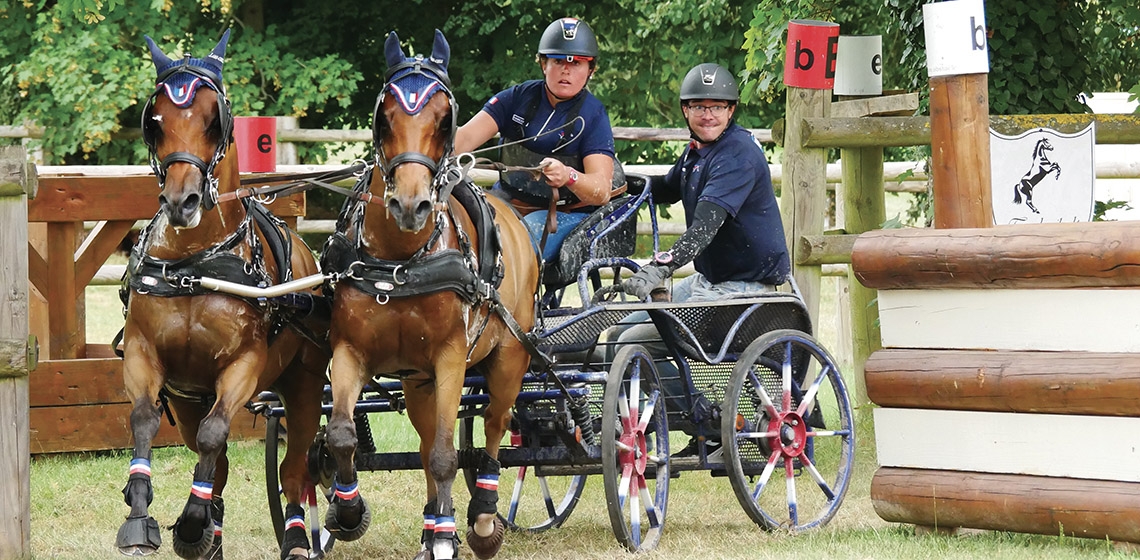 Championnats du Monde Attelage Poneys