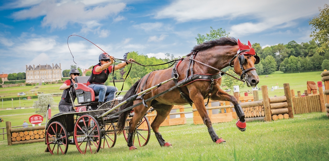Championnat du Monde d'attelage à 1 Cheval