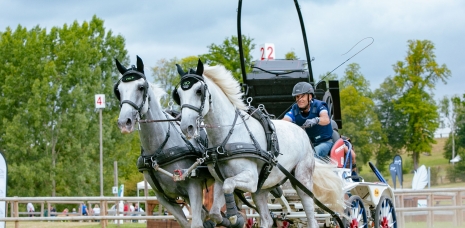 CAI 3* 2023