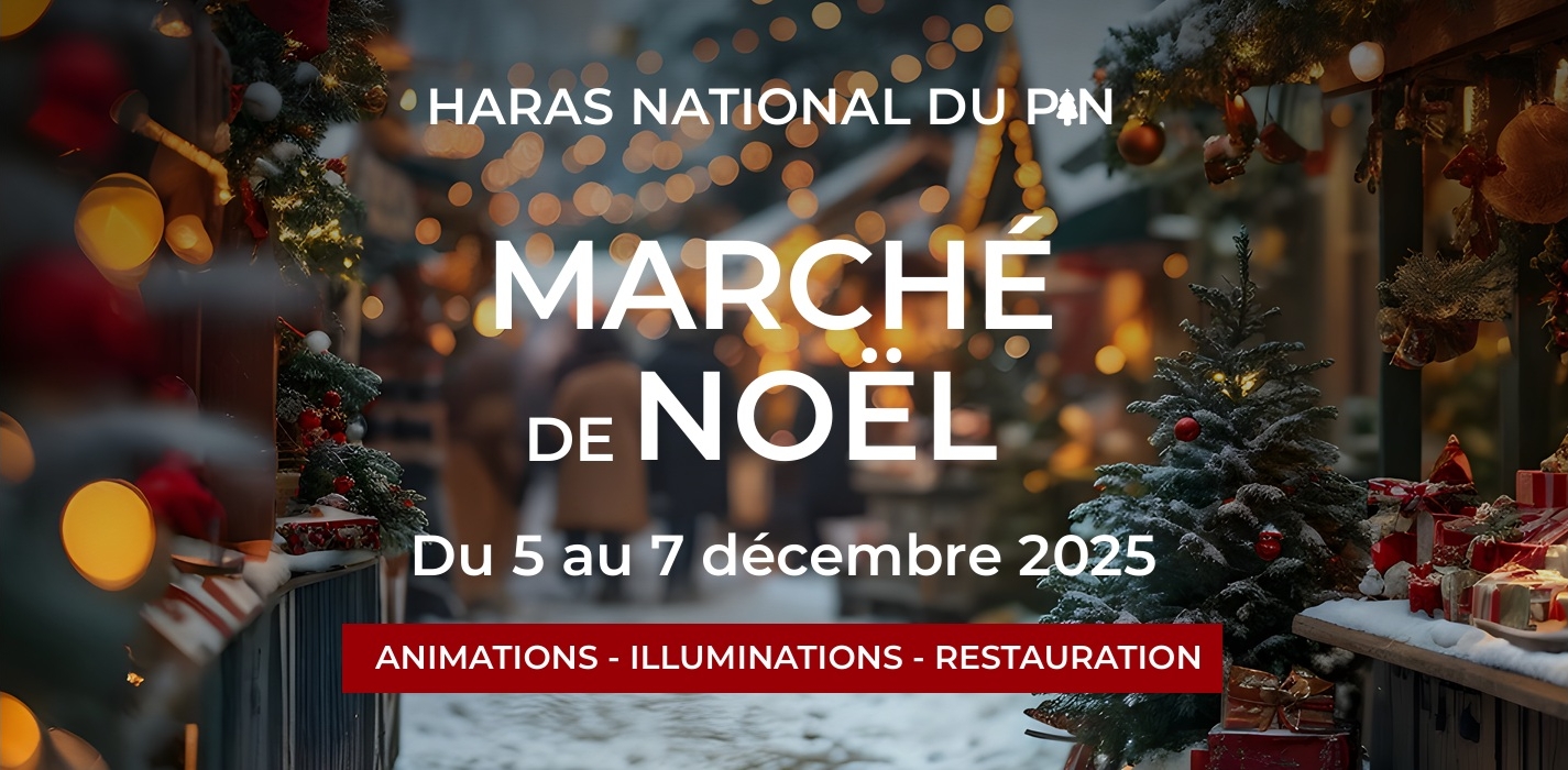MARCHE DE NOEL