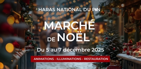 MARCHE DE NOEL