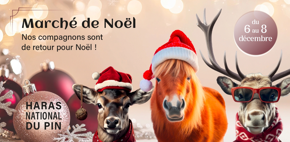 MARCHE DE NOEL