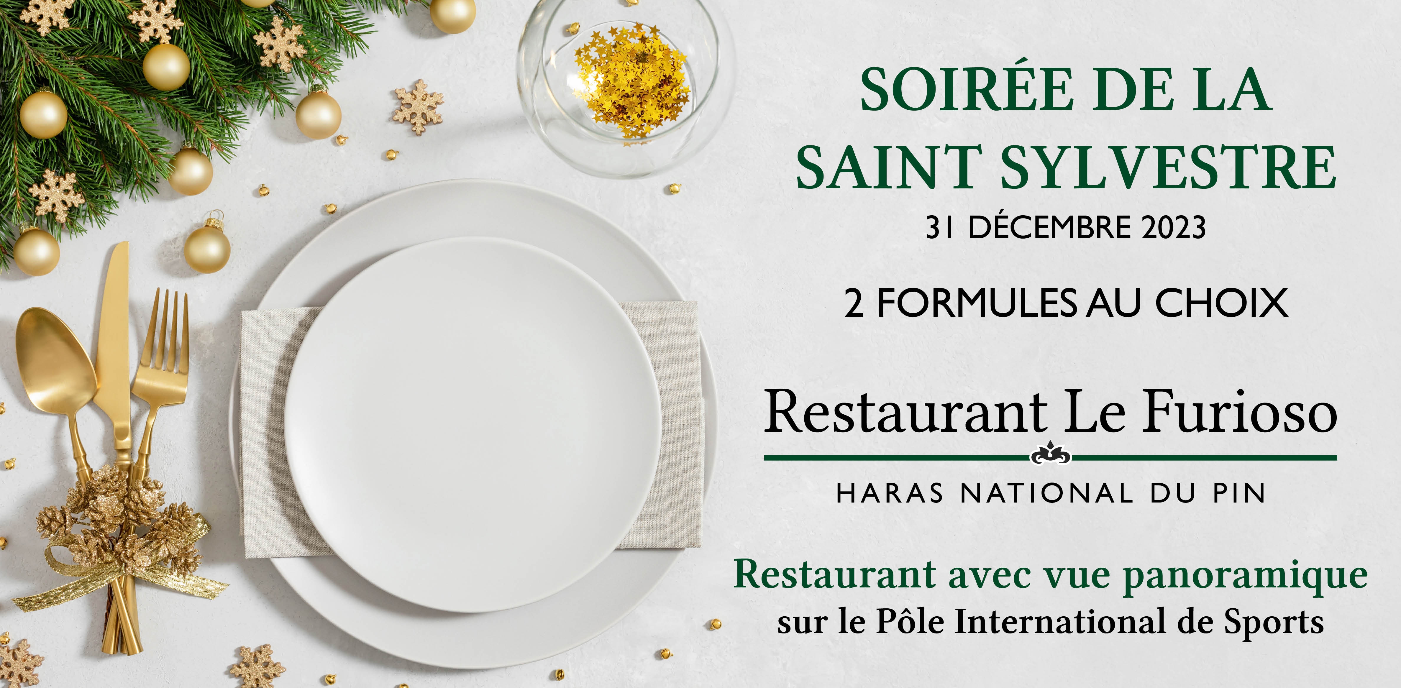 Soirée de la Saint Sylvestre