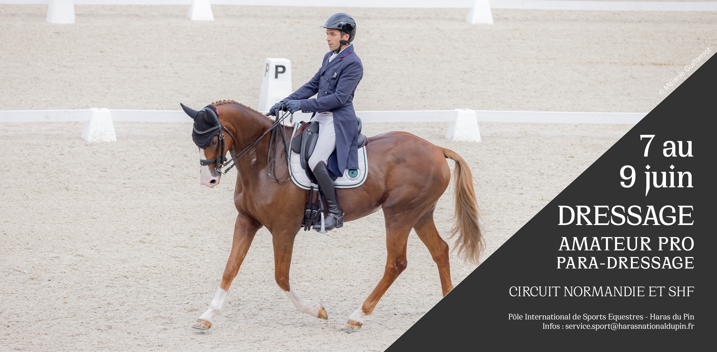DRESSAGE