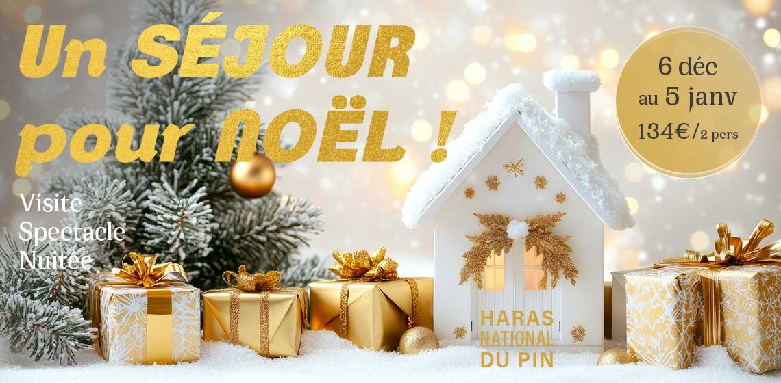 NOEL A PONTAVICE