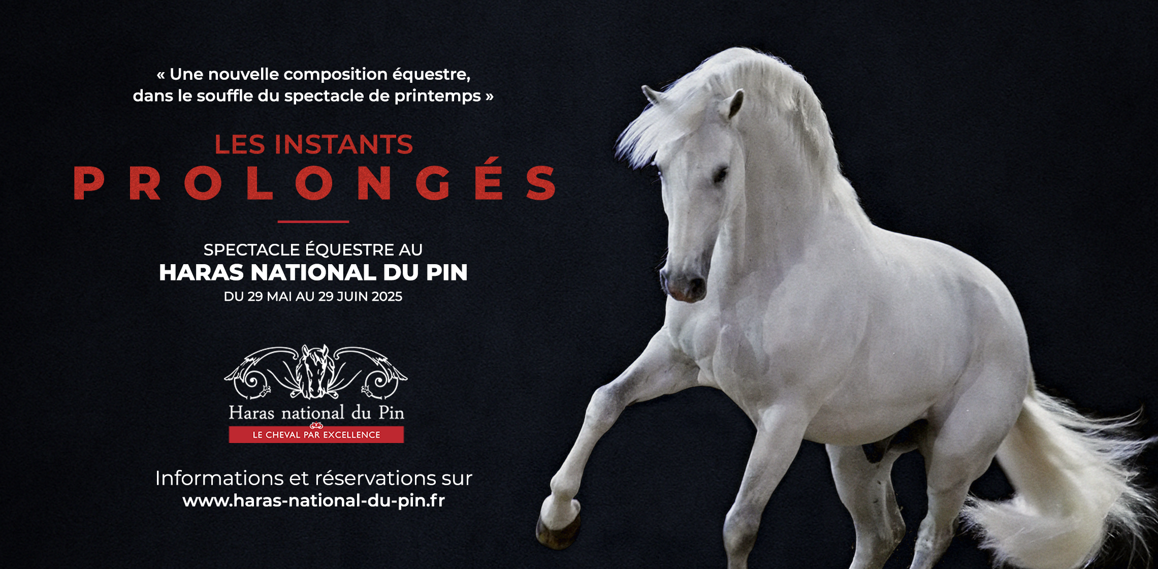 SPECTACLE EQUESTRE