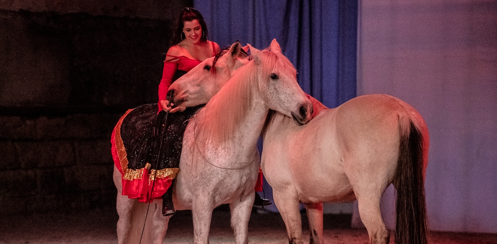 Spectacle équestre