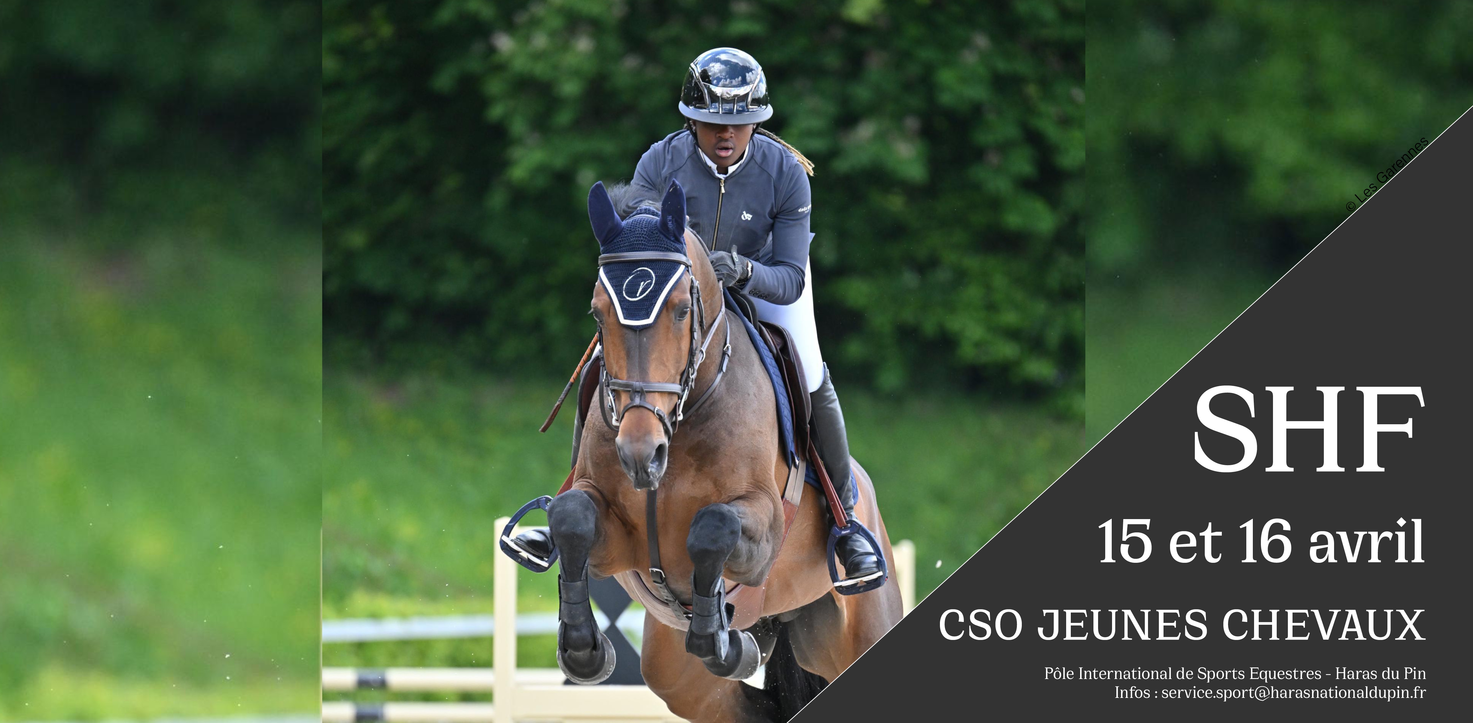 CSO SHF JEUNES CHEVAUX