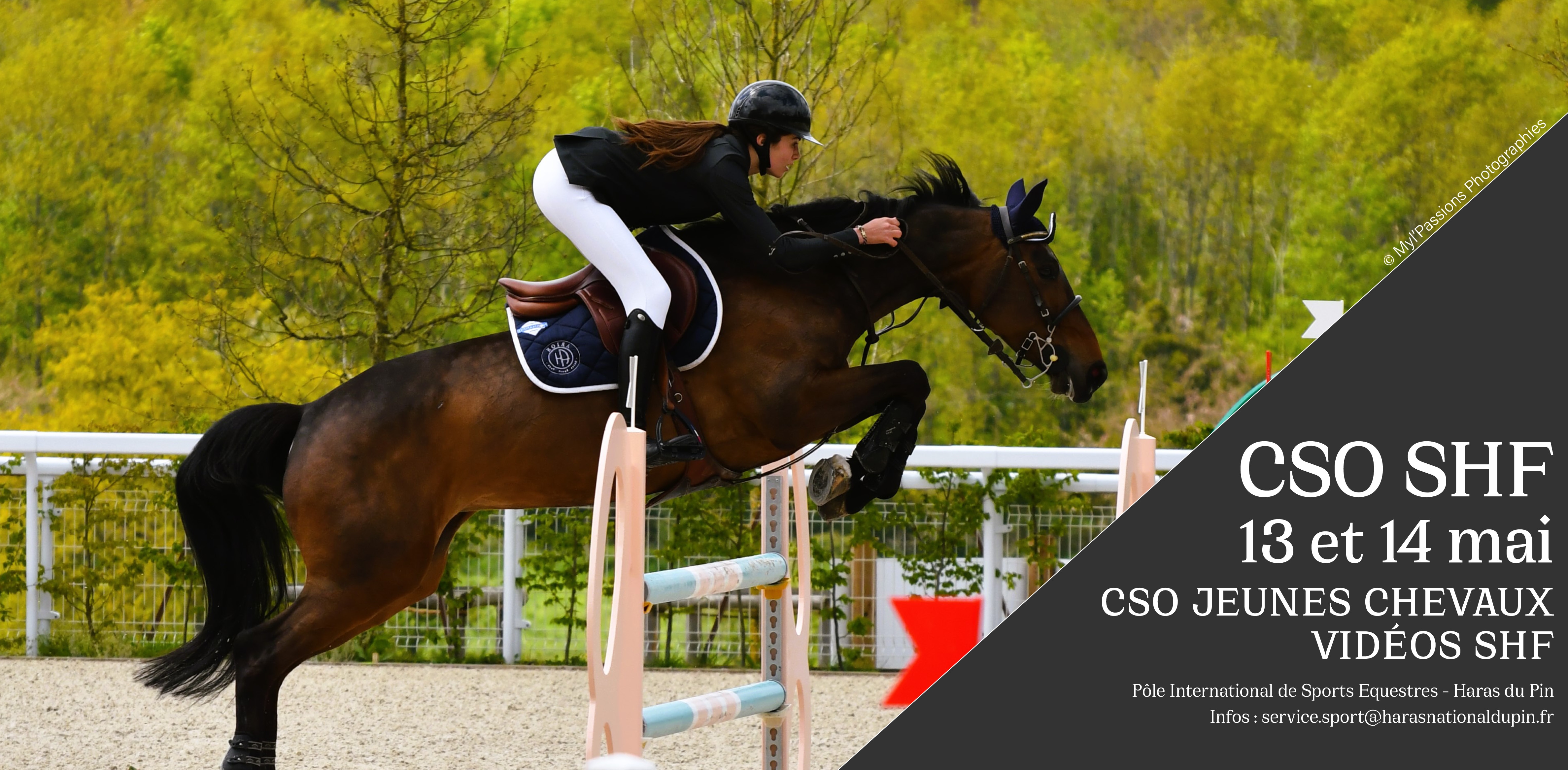 CSO SHF JEUNES CHEVAUX - 13 et 14 MAI