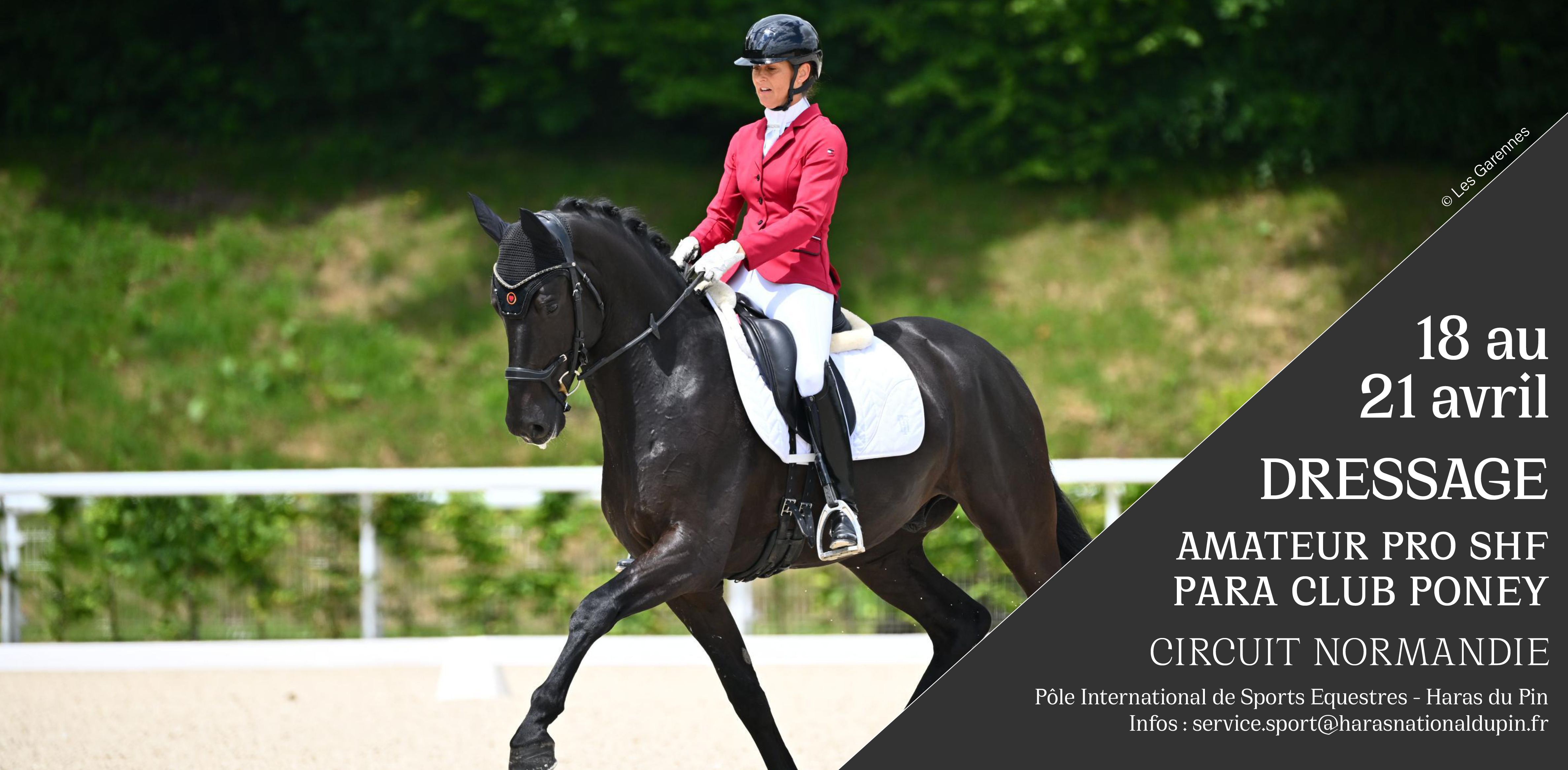 DRESSAGE AMATEUR PRO