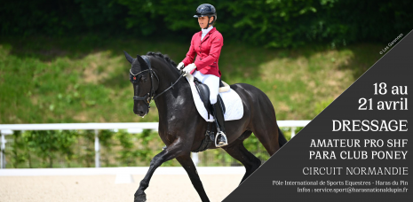 DRESSAGE AMATEUR PRO