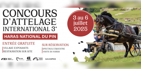 CONCOURS INTERNATIONAL D'ATTEL...