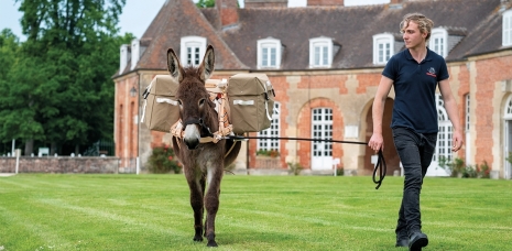 A WALK WITH A DONKEY