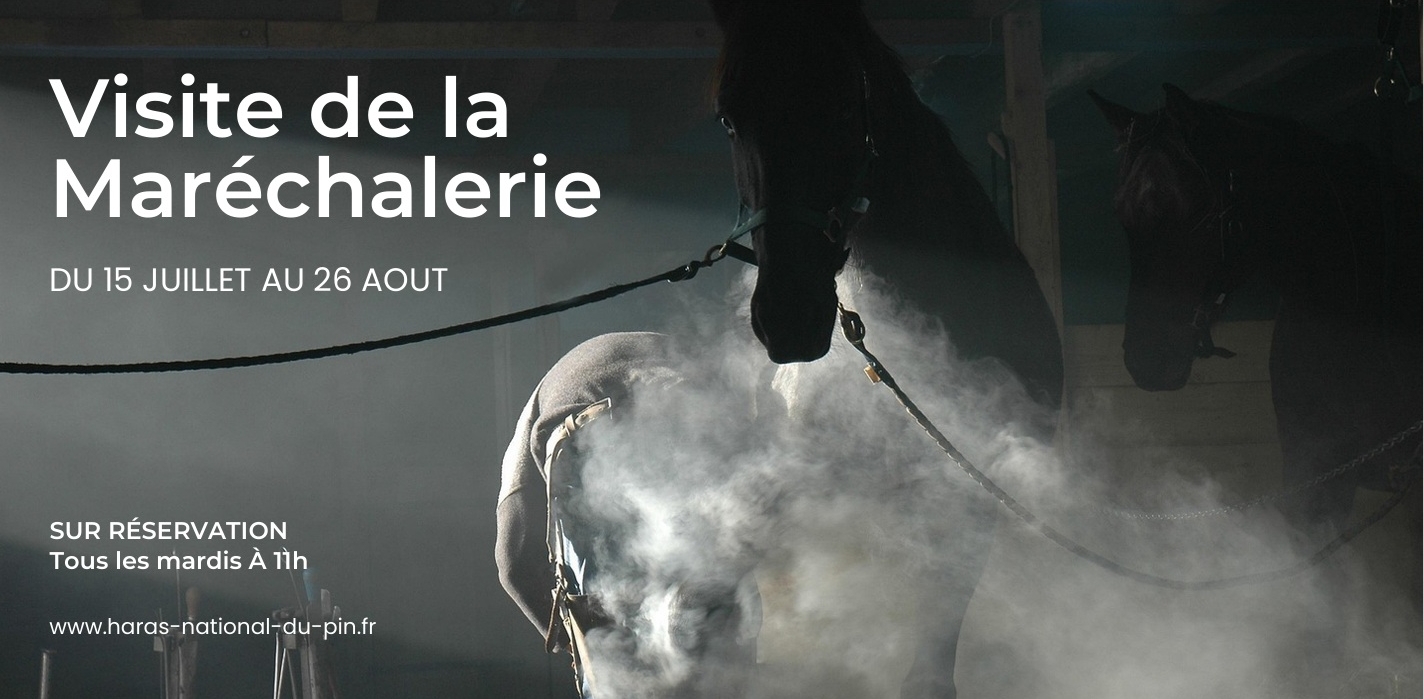 Visite de la maréchalerie