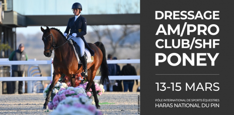 DRESSAGE AMATEUR PRO - 13 AU 1...