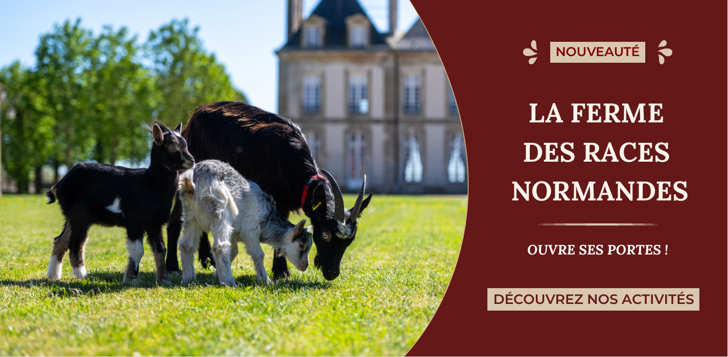 Ferme des Races Normandes