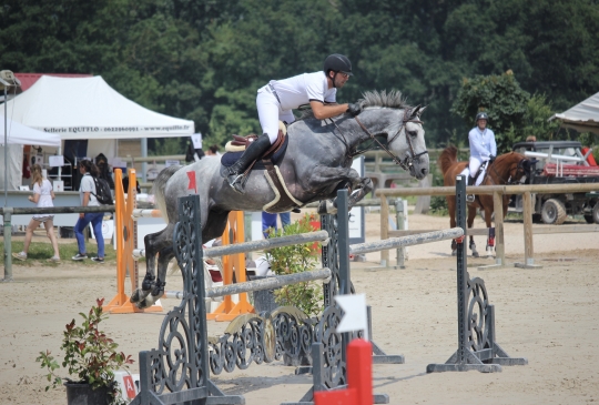 Grille Haras national du Pin
