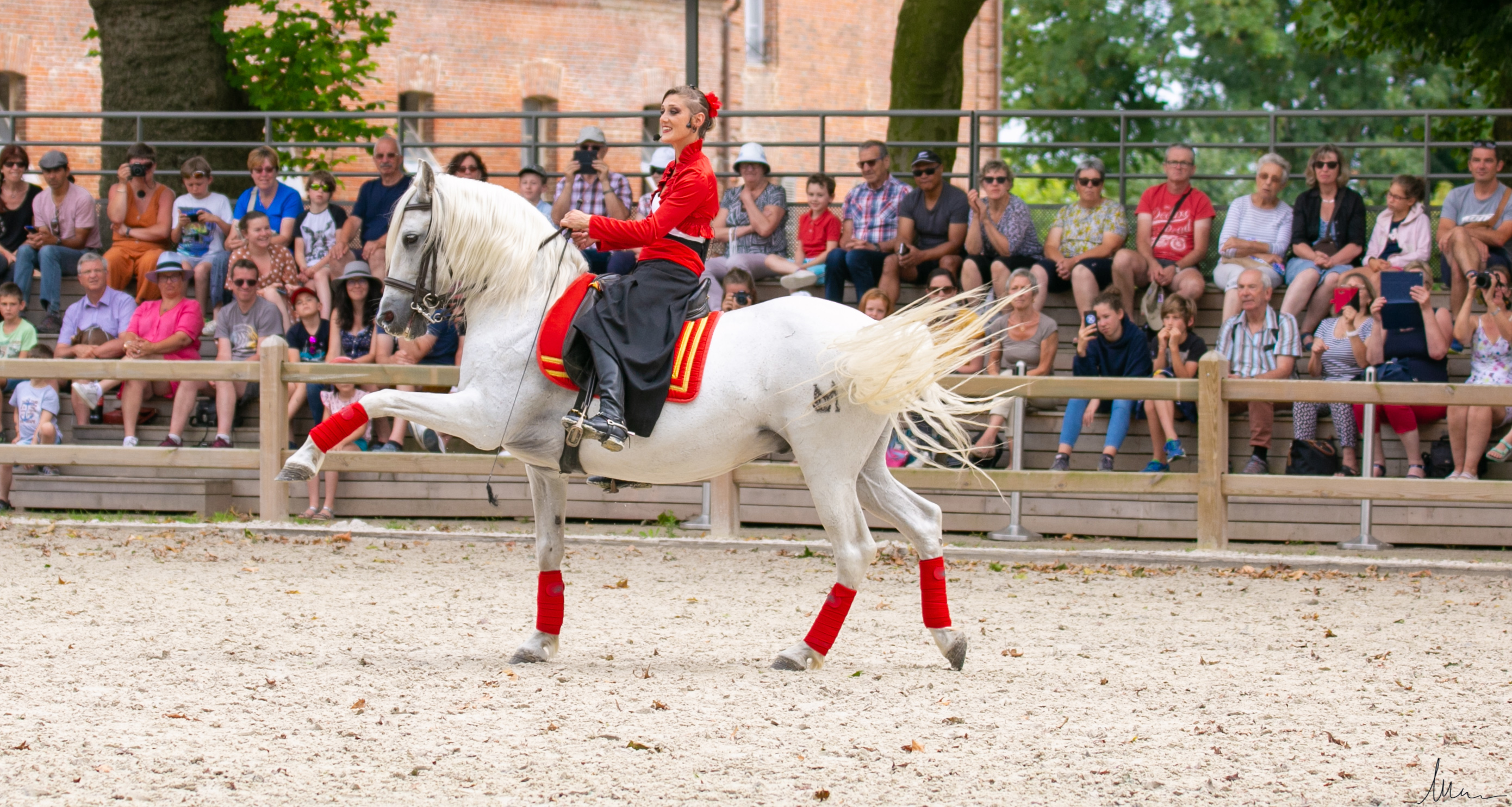 Julie Rascle dressage