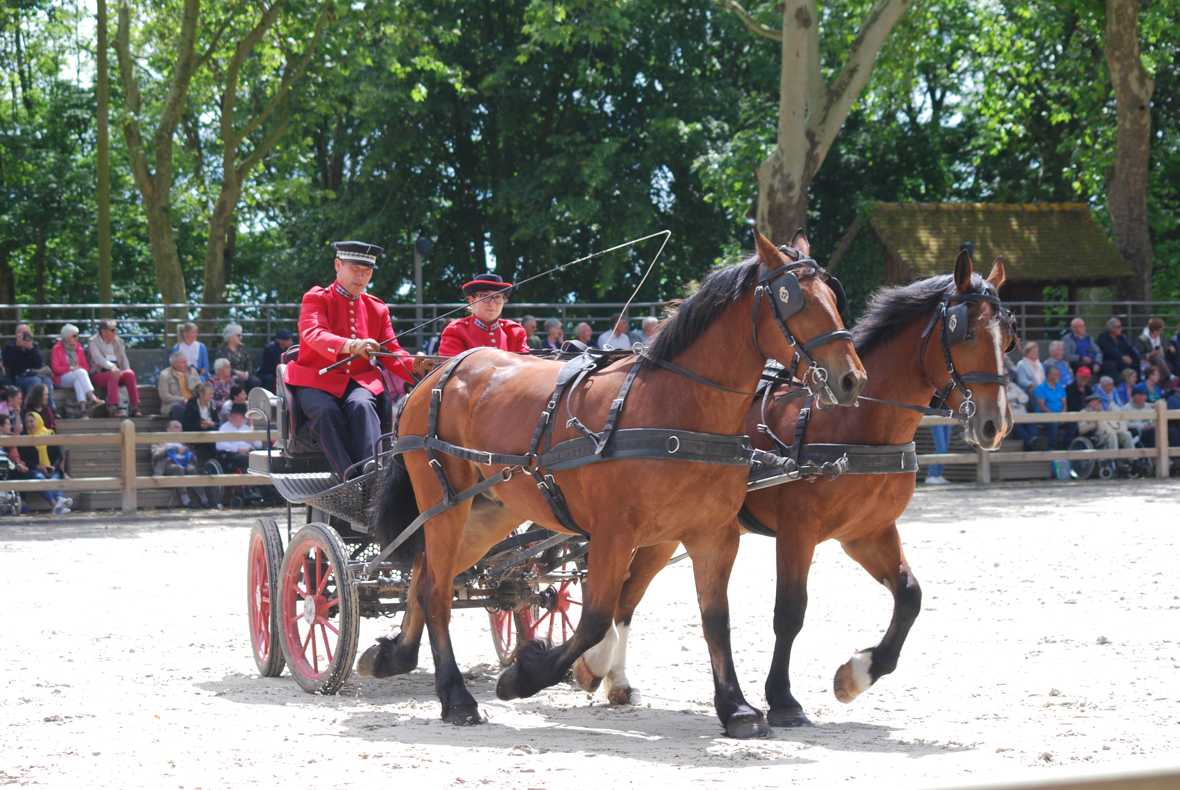 attelage cob centre de valorisation